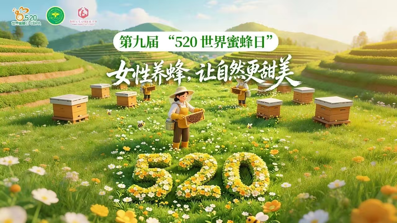 第九个世界蜜蜂日将开始The 9th World Bee Day